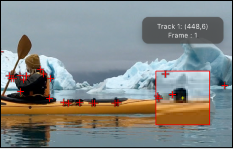 Canvas showing suggested tracking points