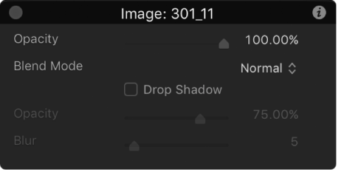 Heads-up display (HUD) showing common controls