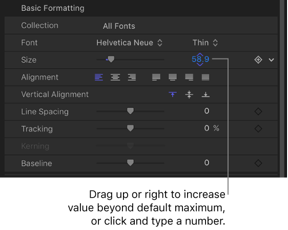 Size value field for Text Size parameter
