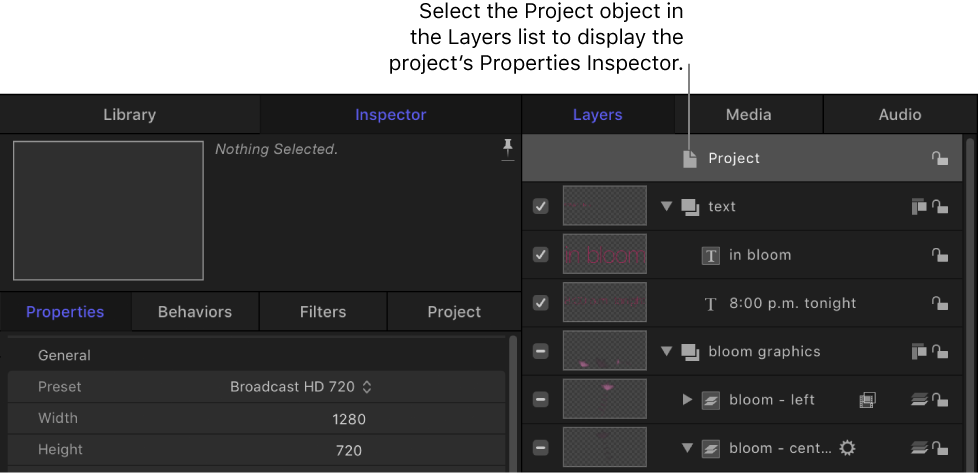 Project object selected in Layers list