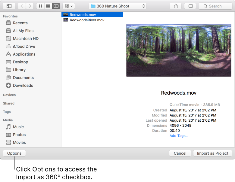 Options button in the import dialog.