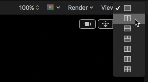 Viewport options in the canvas