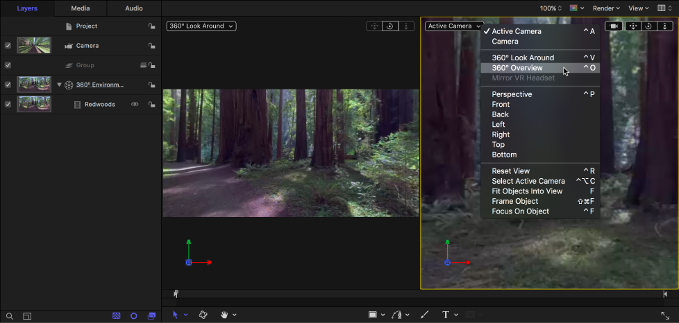 Selecting 360° Overview from the Camera pop-up menu in the canvas