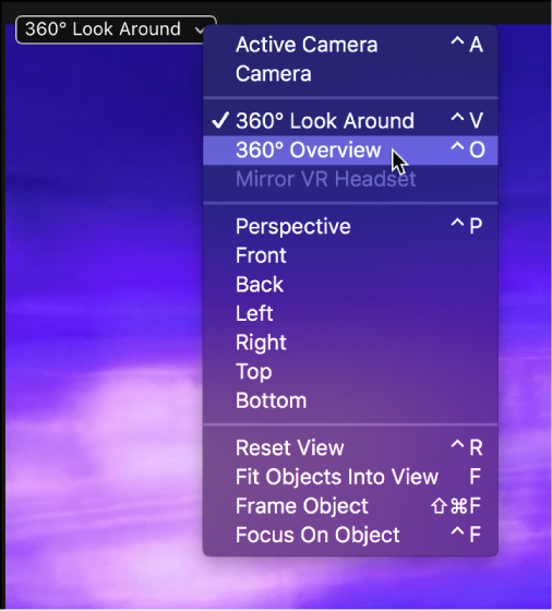 Selecting 360° Overview from the Camera pop-up menu in the canvas