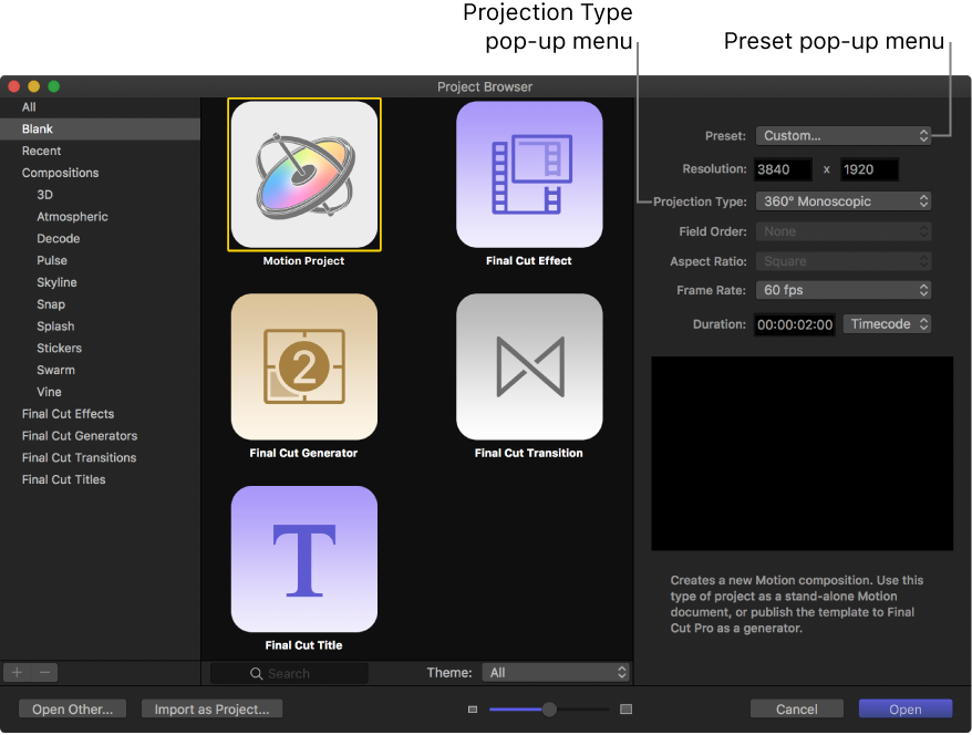Project Browser showing the Preset pop-up menu and the Projection Type pop-up menu