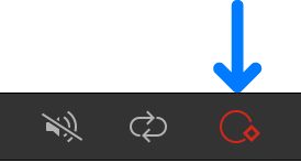 Record button in the timing toolbar