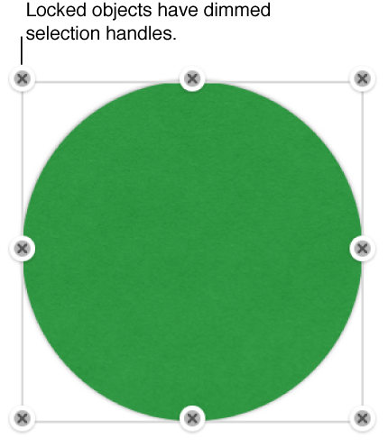 Locked objects showing dimmed selection handles