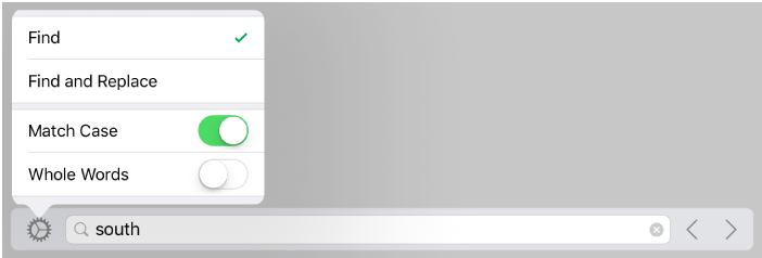 The search options menu with Find, Find and Replace, Match Case, and Whole Words