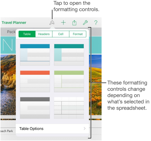 The Table pane of the Format button