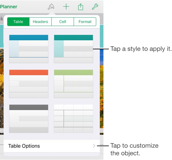 The Chart pane of Format button