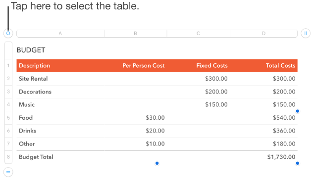 A table with the selection handle in the upper-left corner