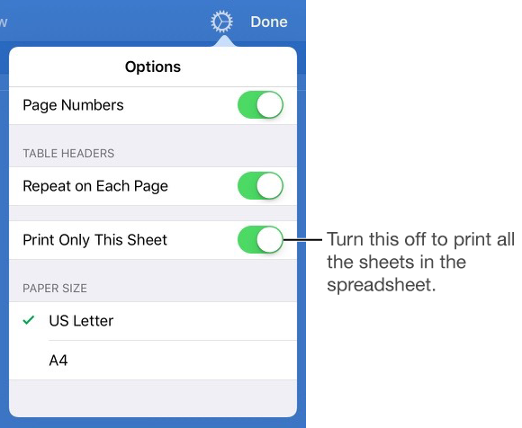 iPad Numbers Print Preview