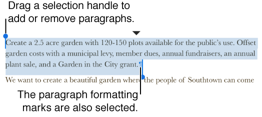 Selected paragraphs with a paragraph mark.