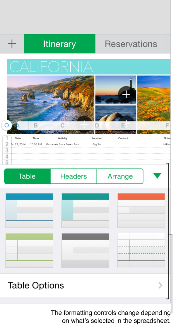 Numbers with the Table pane of the Format inspector open