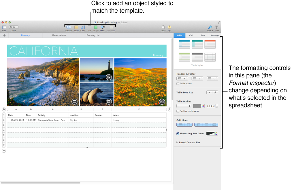 Numbers with the Table pane of the Format inspector open