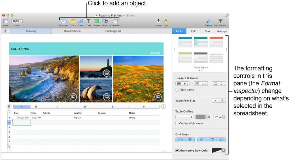 Numbers with the Table pane of the Format inspector open