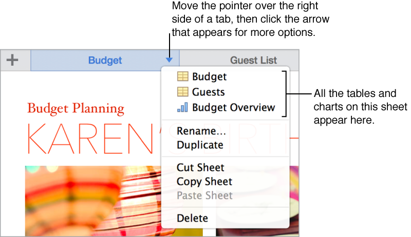 Move the pointer over the right side of a a tab, then click the arrow that appears for more options.