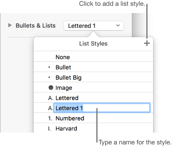 The List Styles menu with an Add button in the top corner and a placeholder style name in the list styles menu
