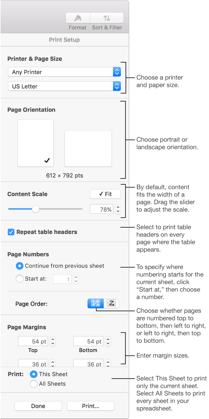 The Print Setup pane with controls for choosing a printer and paper size and other printing options