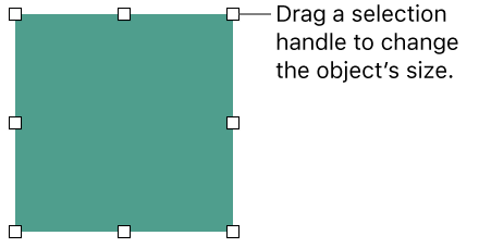 An object with white squares on its border for changing the object’s size.