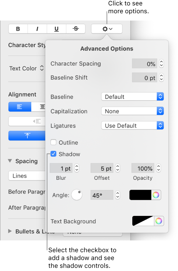 The Advanced Options menu open with the Shadows checkbox selected and controls for setting blur, offset, opacity, angle, and color.