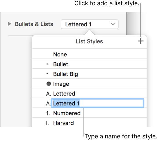 The List Styles pop-up menu with an Add button in the top-right corner and a placeholder style name with its text selected.