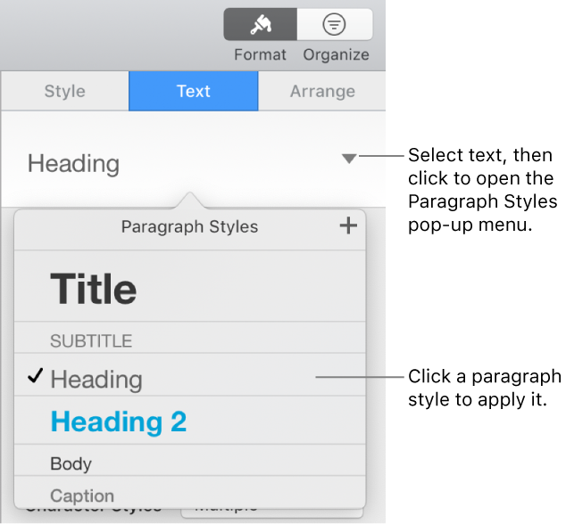 The Paragraph Styles menu.