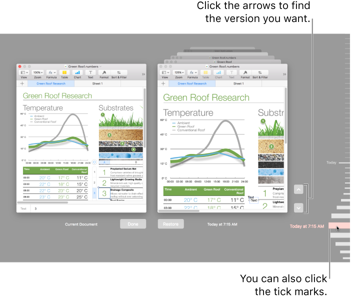The Revert window, showing versions you can browse.