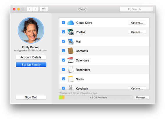 iCloud preferences pane showing the Set Up Family button