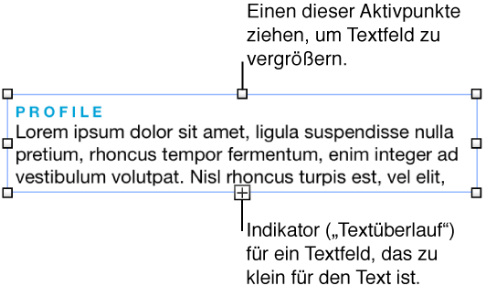 Textfeld mit Auswahlaktivpunkten und Symbol für den Textüberlauf