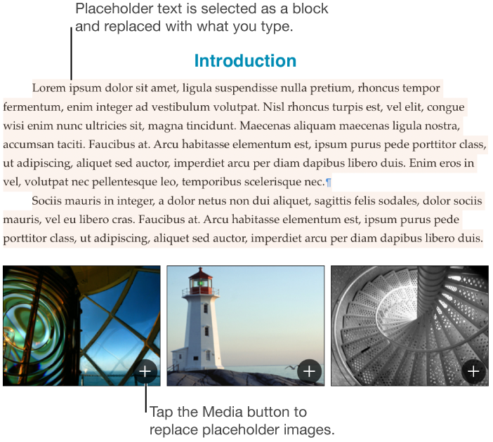 Placeholder text and images
