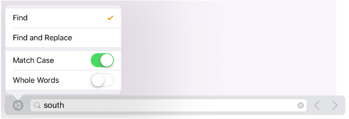 The search options menu with Find, Find and Replace, Match Case, and Whole Words