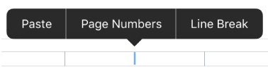 Header pop-up for adding page numbers.