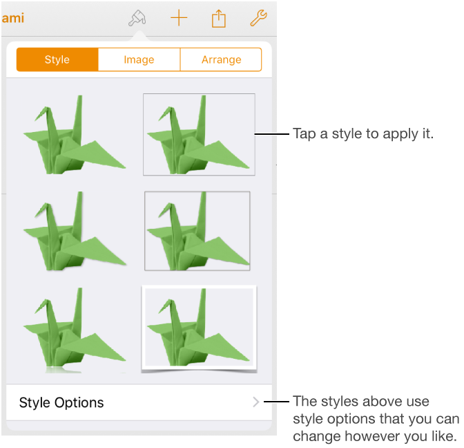 The Style pane with image styles at the top and the Style Options button at the bottom