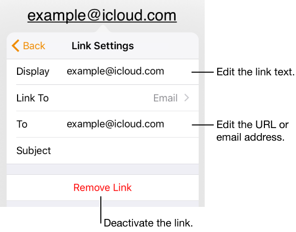 The Link Settings controls, with fields for display text, type of link, email address, and subject. A Remove Link is at the bottom of the controls. The Back button is at the top-left corner of the controls.