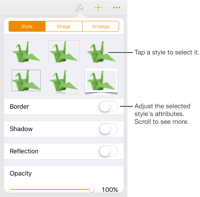 The Style pane of the Format button with object styles at the top and the Style Options button at the bottom