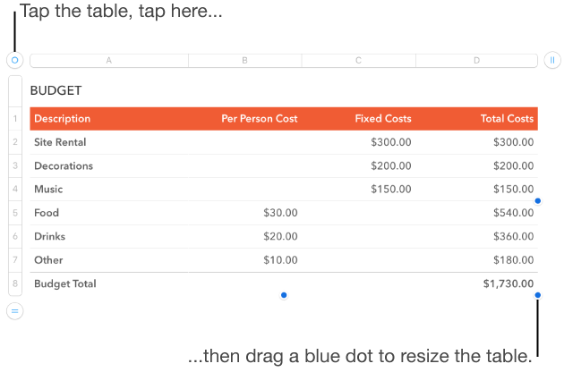 Selected table with blue dots for resizing