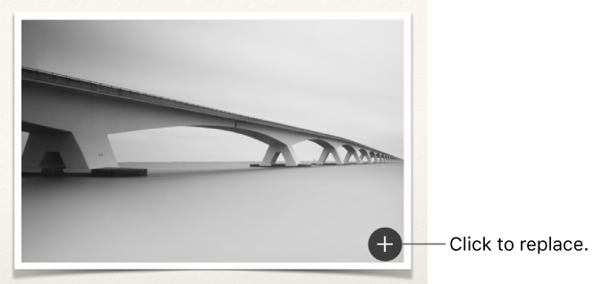 An image with a Replace Image button.