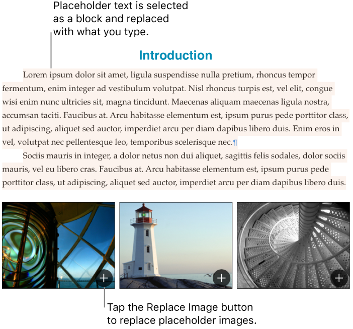 Placeholder text and images.