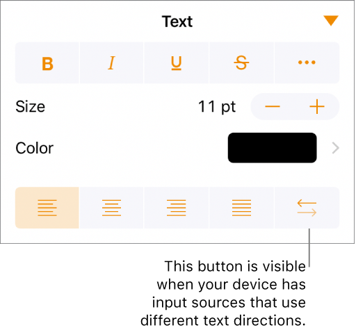The Style section of the Format button with a callout to the bidirectional button.