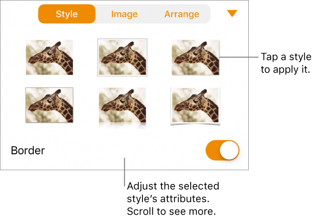 The Style tab of the Format menu with object styles at the top and a control below them to change the border.