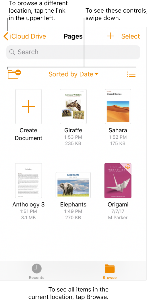 The document manager.