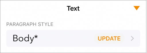 A paragraph style with an asterisk next to it and an Update button on the right.t