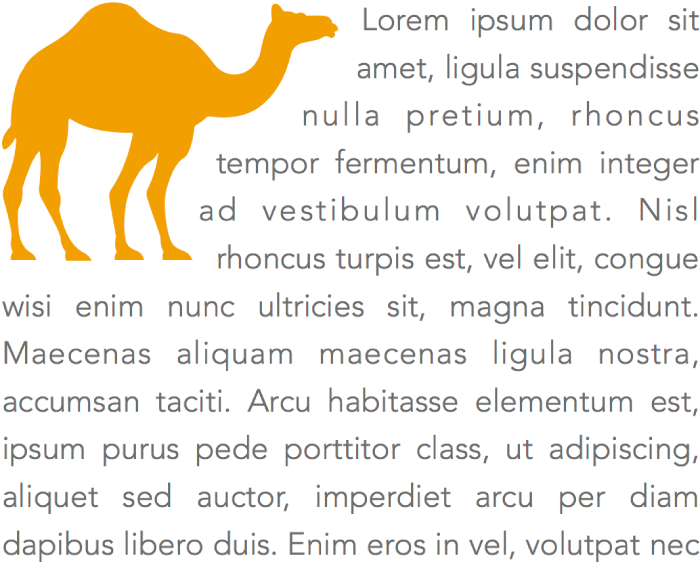 A camel shape with text flowing around it.