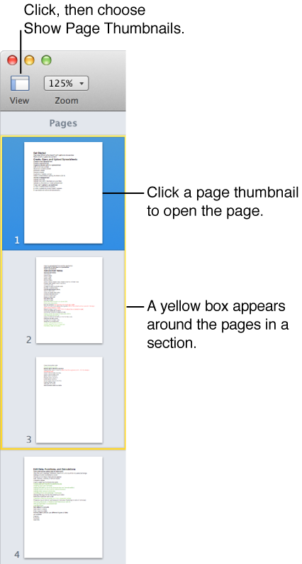 Thumbnail pane showing pages in a section outlined in yellow.