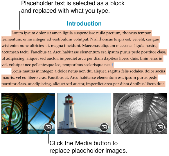 Placeholder text and images.