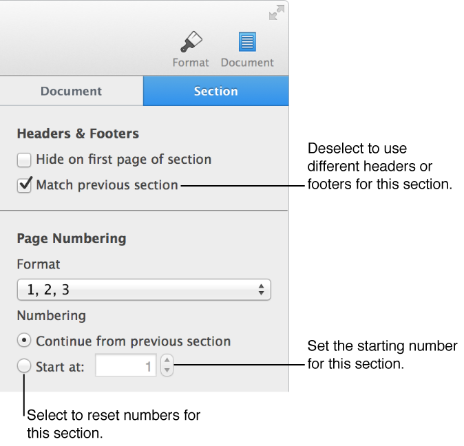 Section pane of the Setup inspector, showing controls for headers, footers, and page numbering.