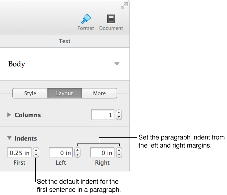 Layout pane of the Format inspector, showing controls for indents and margins.