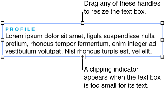 Text box showing selection rectangles and clipping indicator