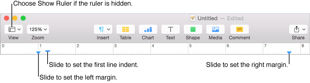 Ruler showing View button, left margin control, and first line indent control